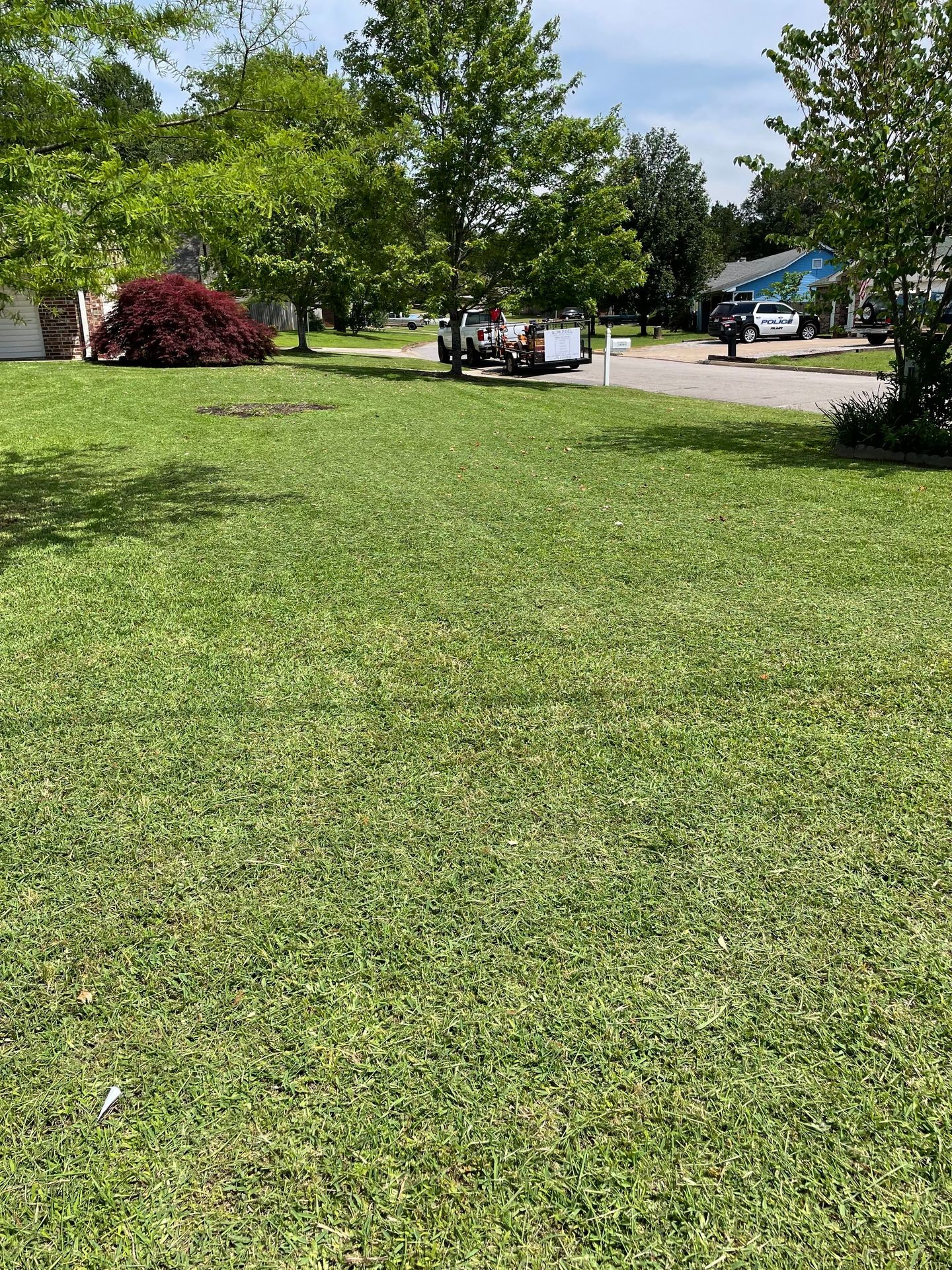 Lawn Mowing and Trimming